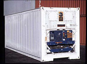 container freezer 20ft used reefer container